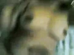 यहाँ मैं एक डेट्रायट बीबीसी सेक्सी हिंदी एचडी फुल मूवी के साथ कई orgasms कर रहा हूँ