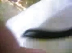 एक वाटरबेड पर सेक्सी वीडियो फुल मूवी शौकिया बकवास