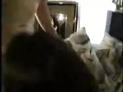 मेरे पूर्व प्रेमिका फुल सेक्सी वीडियो फिल्म blowjob संकलन