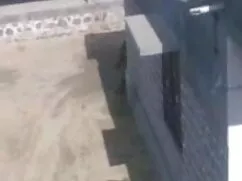सीधे कट्टर फुल सेक्सी वीडियो फिल्म